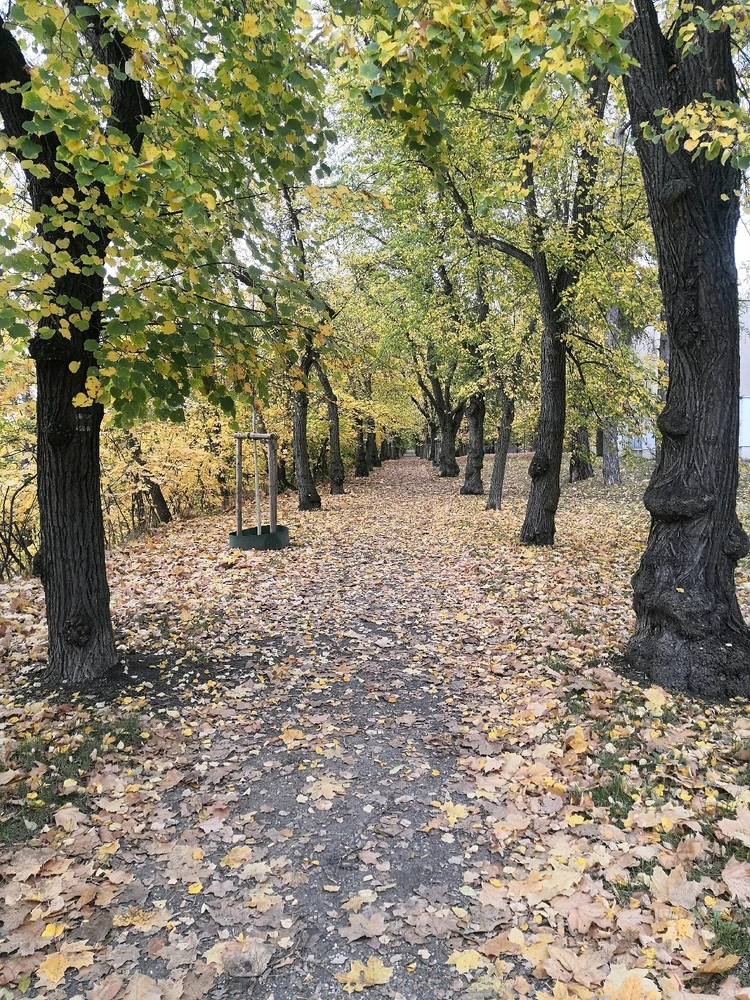 Obrázek nahrál Stefani