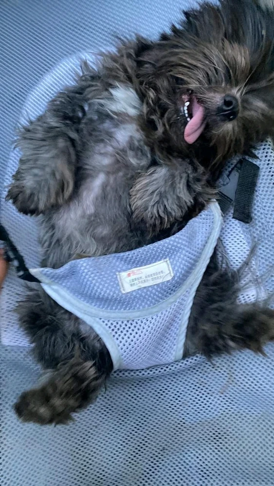 Image uploaded by Locca