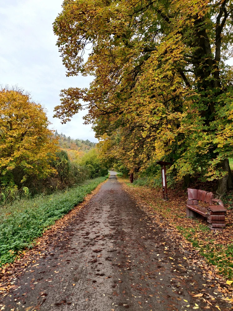 Obrázek nahrál Dušan