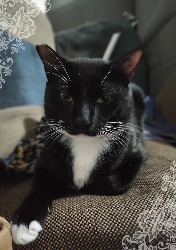 Image uploaded by Edith