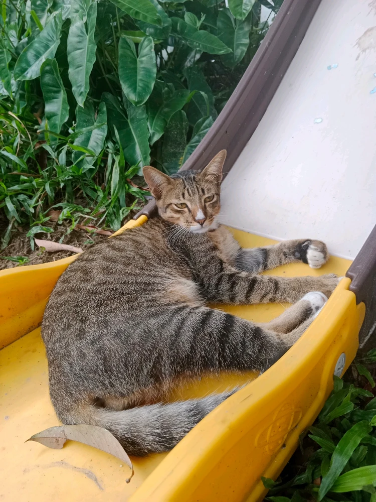 Image uploaded by Jazzy