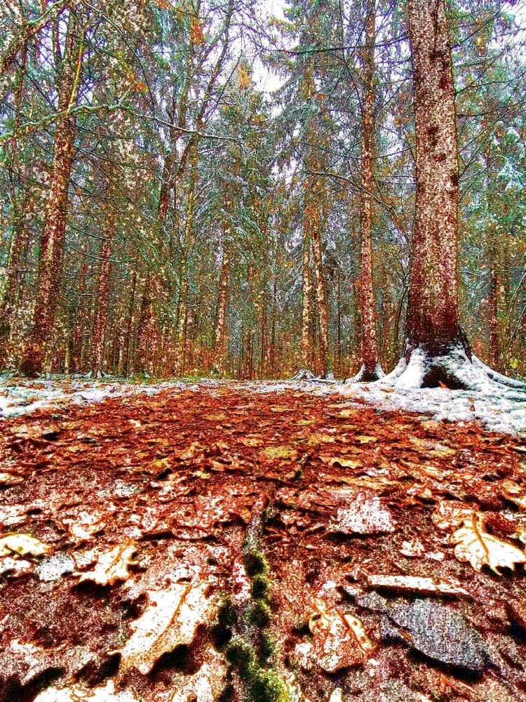 Image uploaded by Fedor