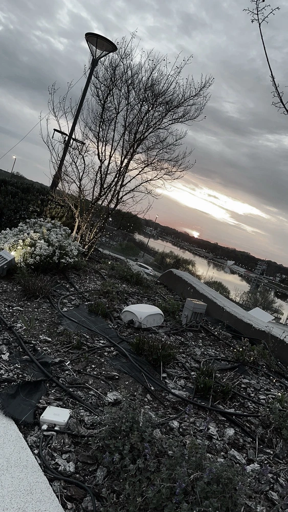 Image uploaded by 野马