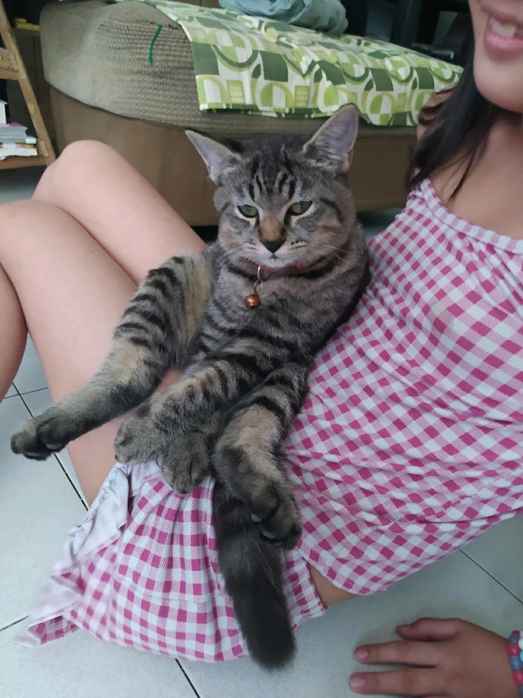 Image uploaded by Laurice