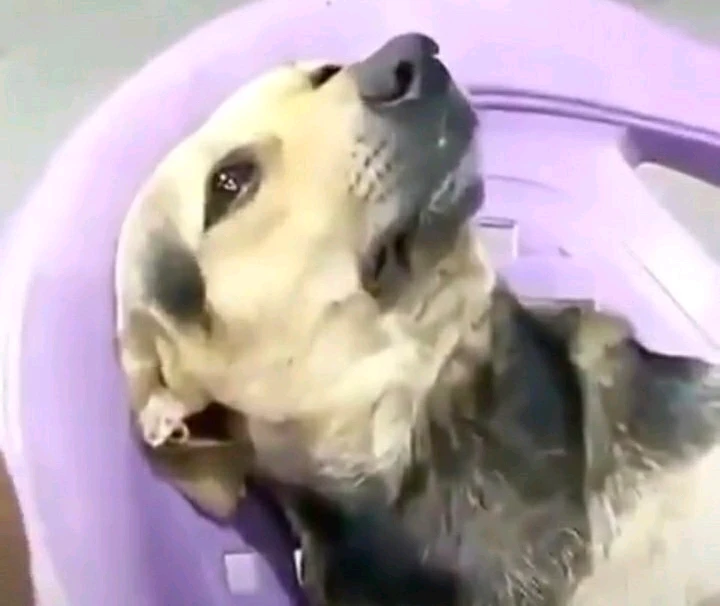 Imagen subida por Natalia