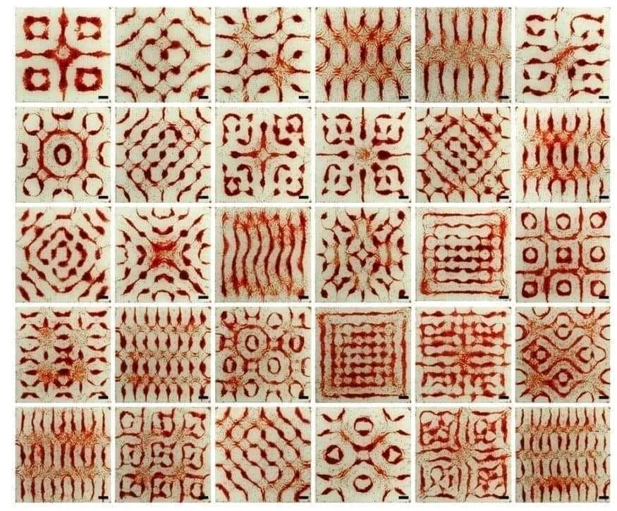 Image ajoutée par Dorian🐞