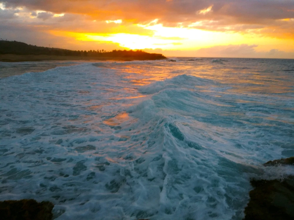 Image uploaded by Raymond