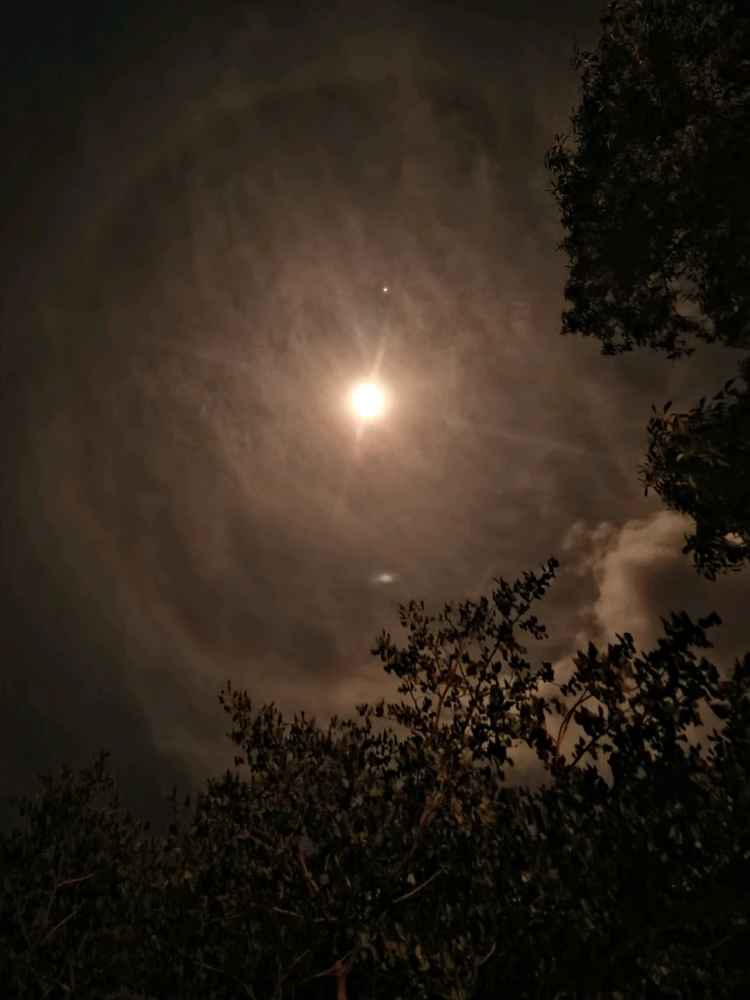Image uploaded by HN23