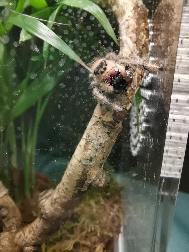 Bild hochgeladen von Natalie