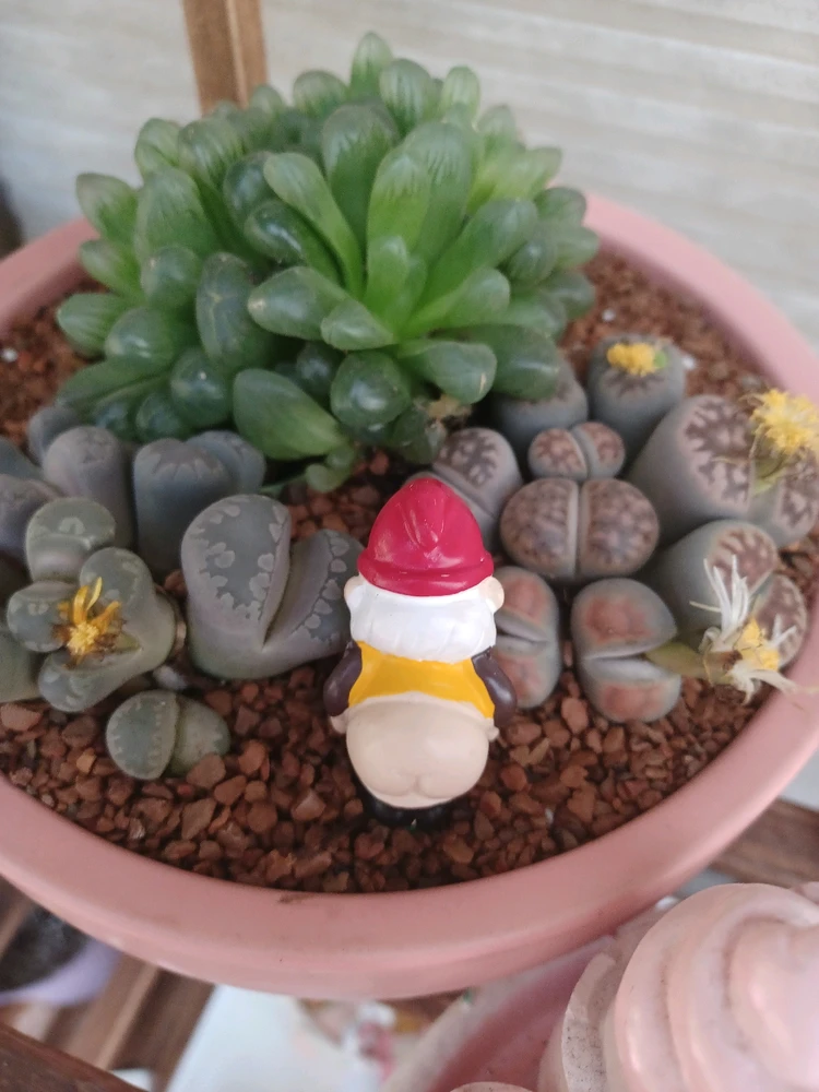 Gambar diunggah dening Maddie