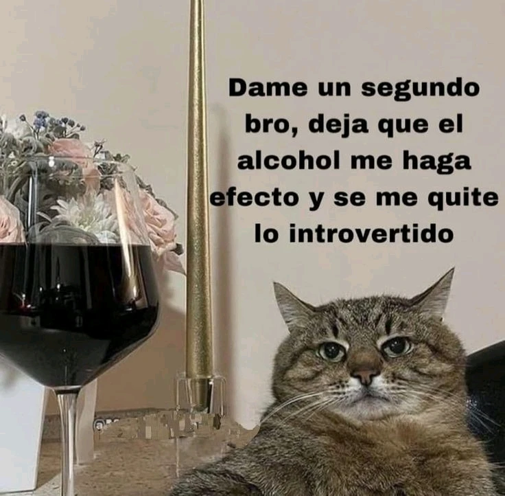 Imagen subida por Melly