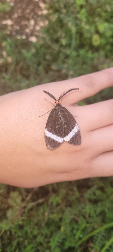 Bild hochgeladen von Maureen