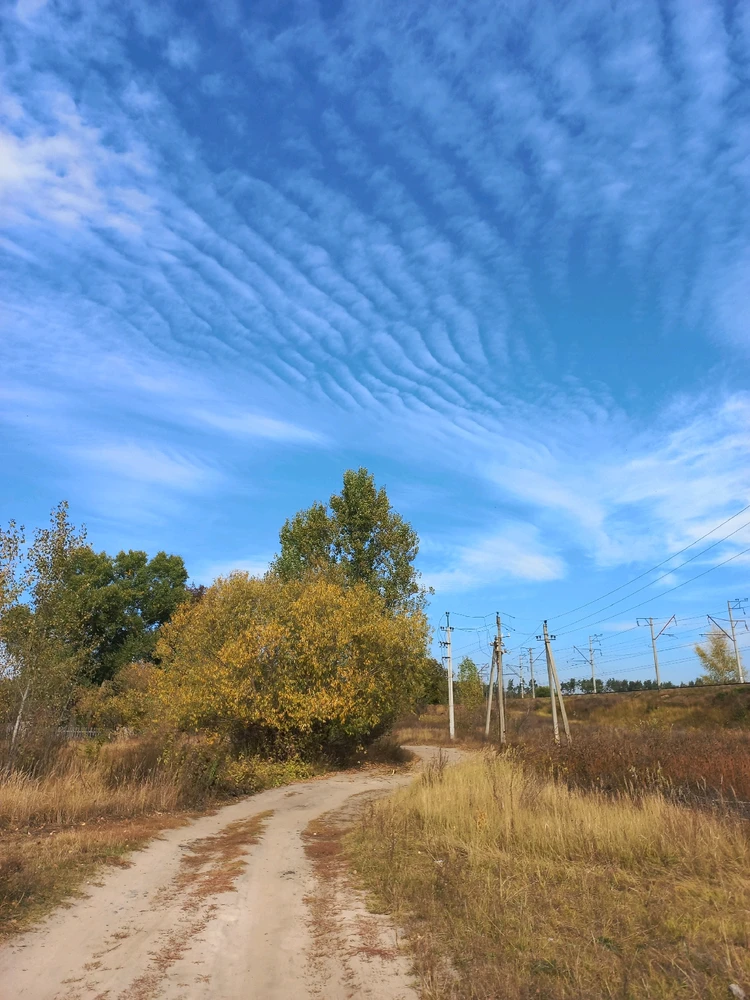 Зображення завантажив Sunny_Plush