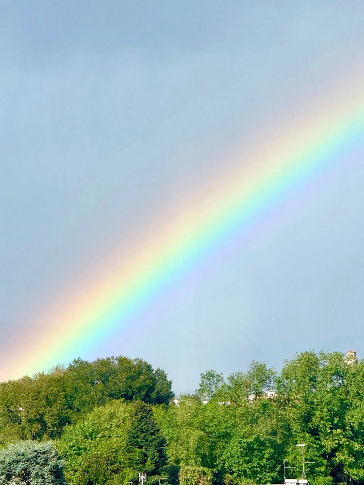 Immagine caricata da Serena