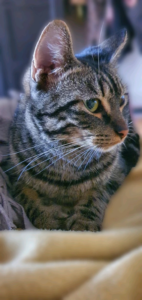 Image uploaded by Stéphane