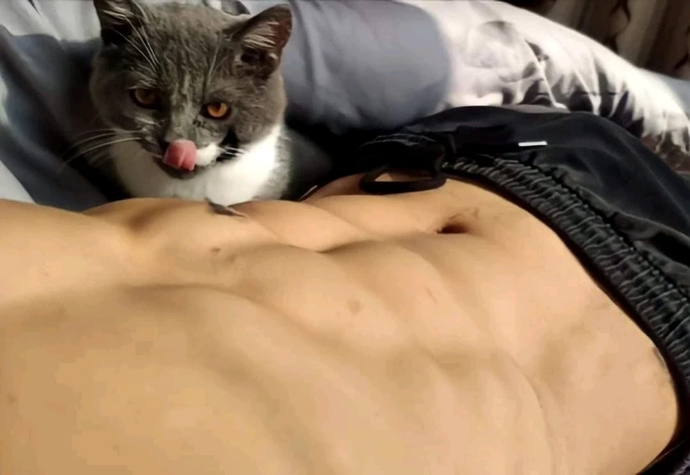 Image ajoutée par Achraf