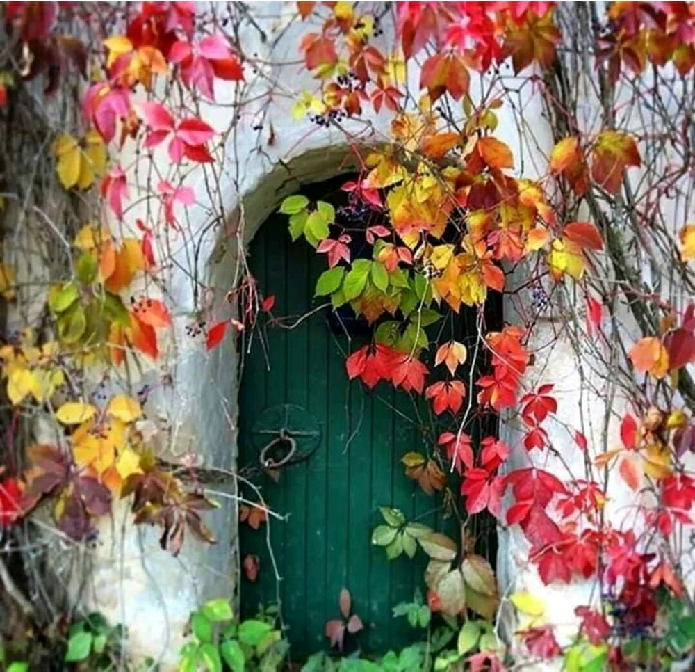 Image uploaded by Vanshika Garg