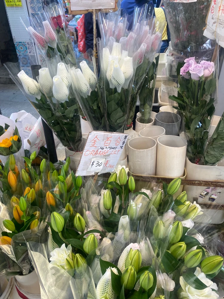 Image uploaded by Chou