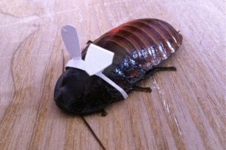 Zdjęcie dodane przez rysiu