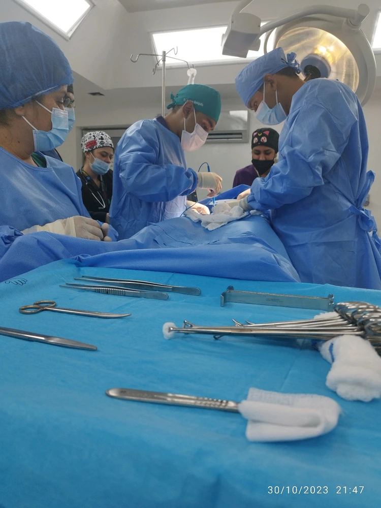 Imagen subida por Andrés