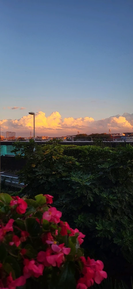 Image ajoutée par Candysse