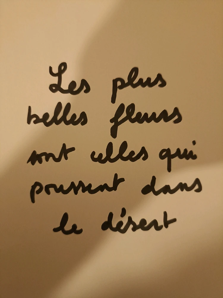 Image ajoutée par Franck