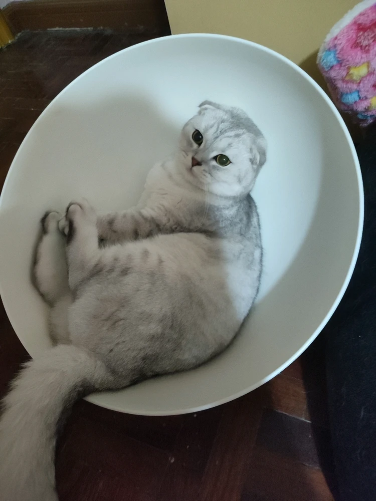 Image uploaded by Luna