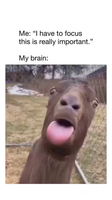 Image uploaded by Noemi