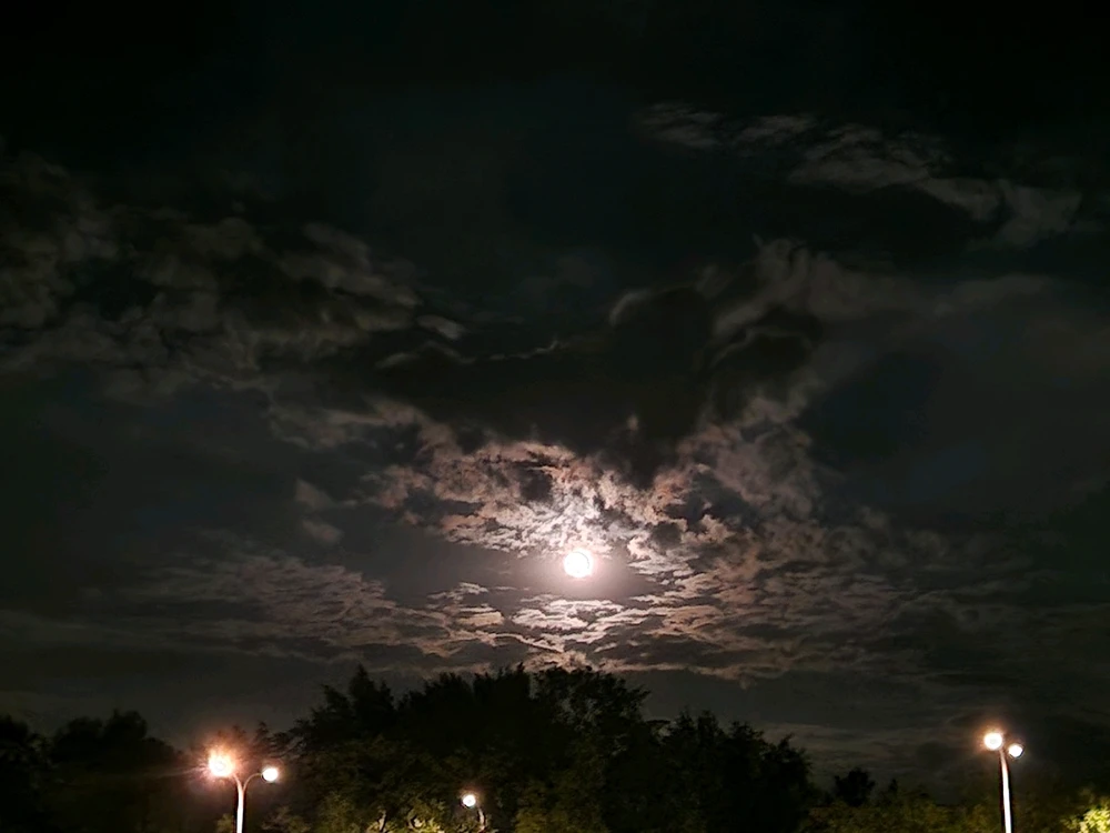 Zdjęcie dodane przez Natyjik