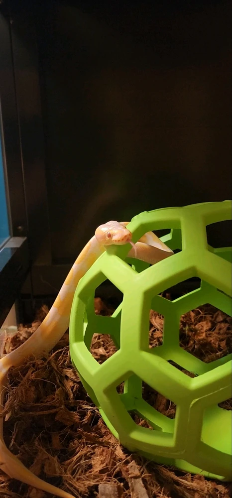 Image uploaded by Rebecca