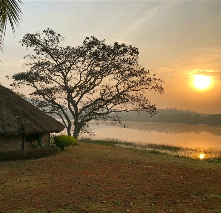 Image ajoutée par Christian