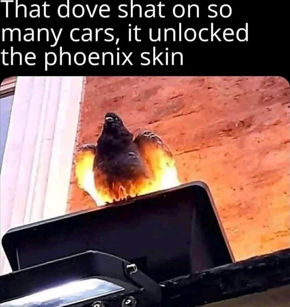 Zdjęcie dodane przez Mateusz