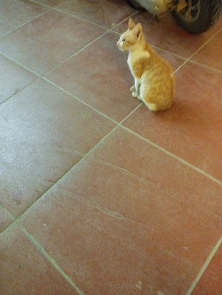 Ảnh do James Walker tải lên