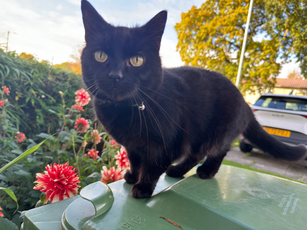 Image uploaded by Martin