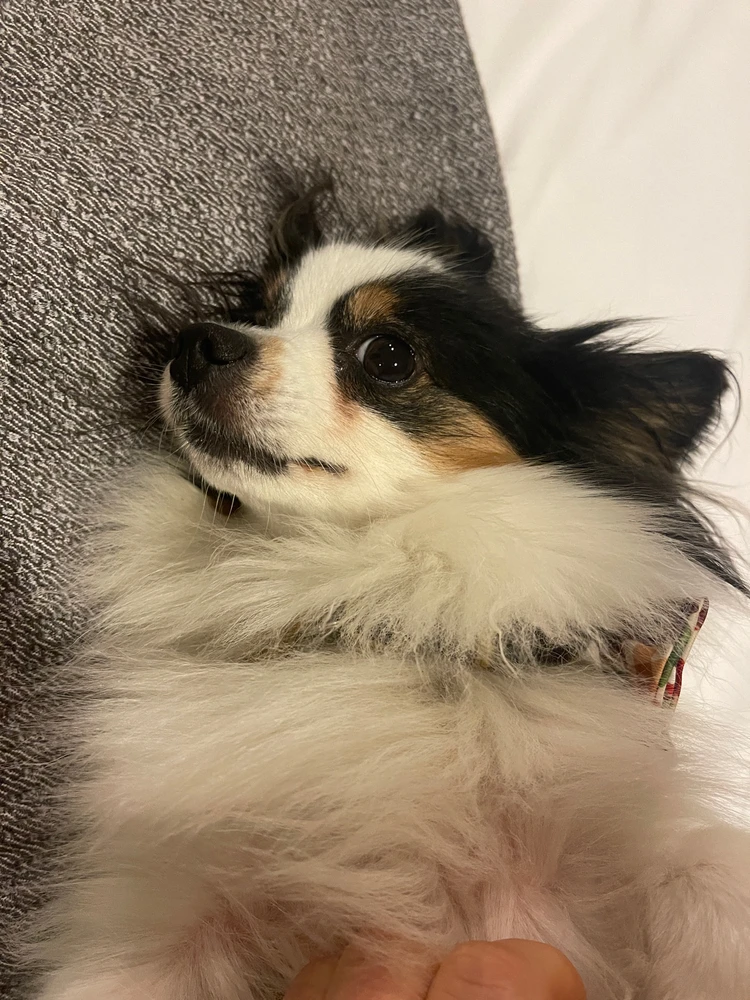 Image uploaded by Samantha