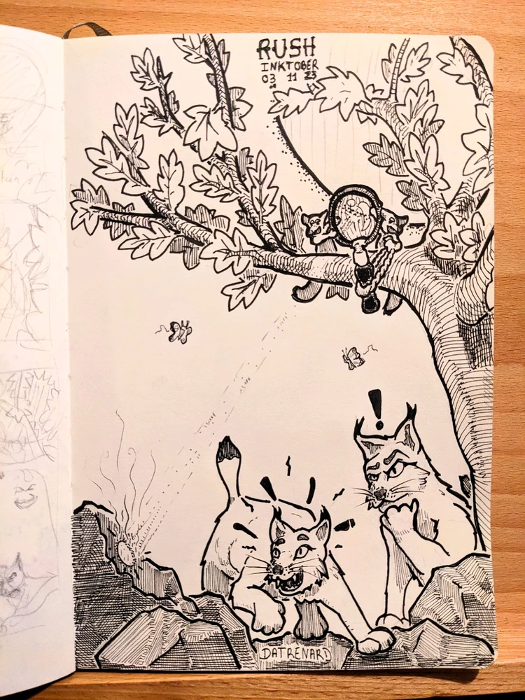 Image ajoutée par Valentin