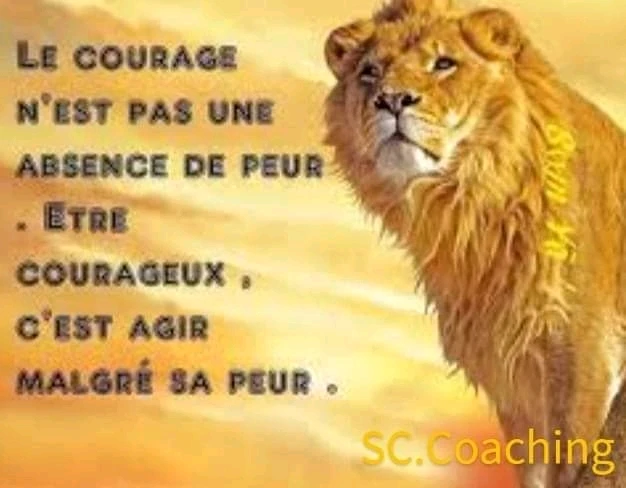 Image ajoutée par Franck