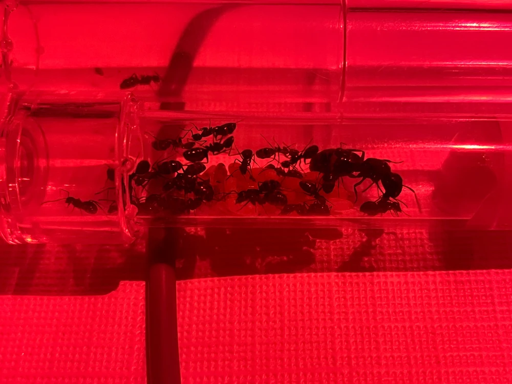 Gambar diunggah dening Lukas