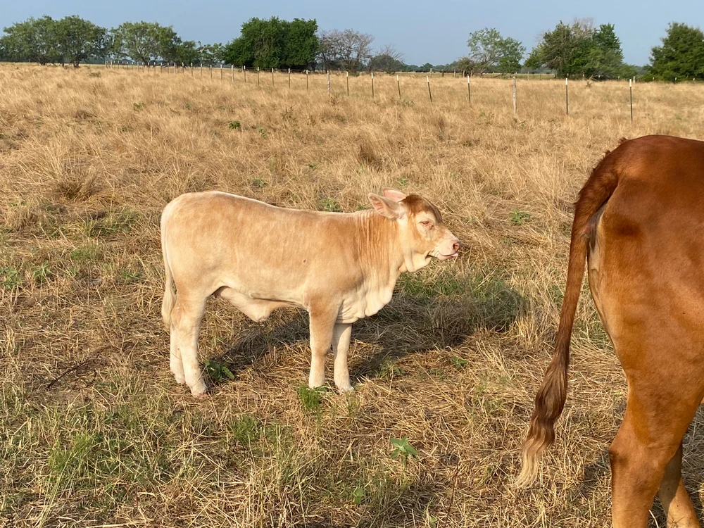 Image uploaded by Tate