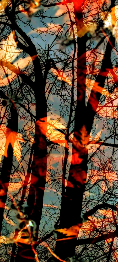 Bild hochgeladen von OnTheRay