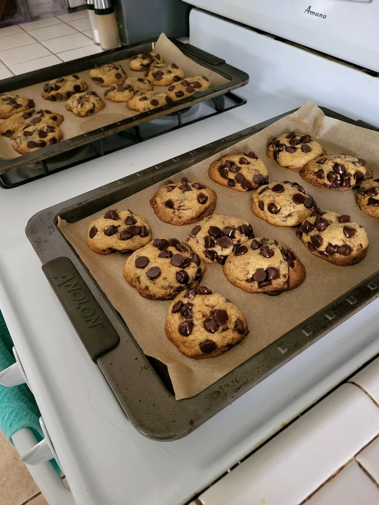 Image uploaded by Ali