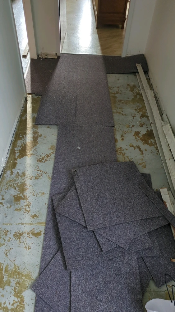 Afbeelding geüpload door Maurits