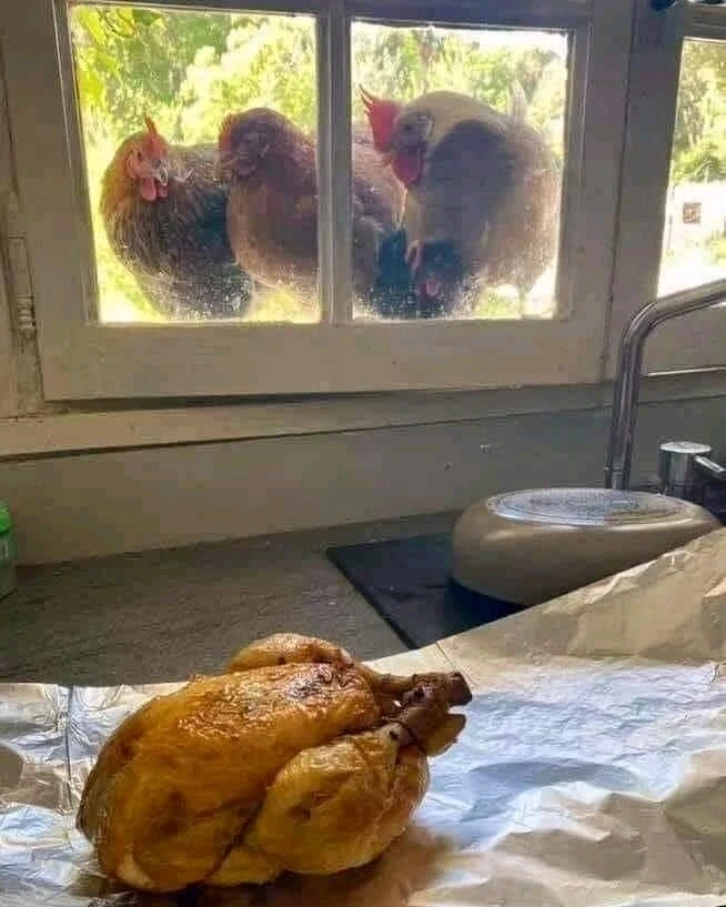 Image uploaded by Christy