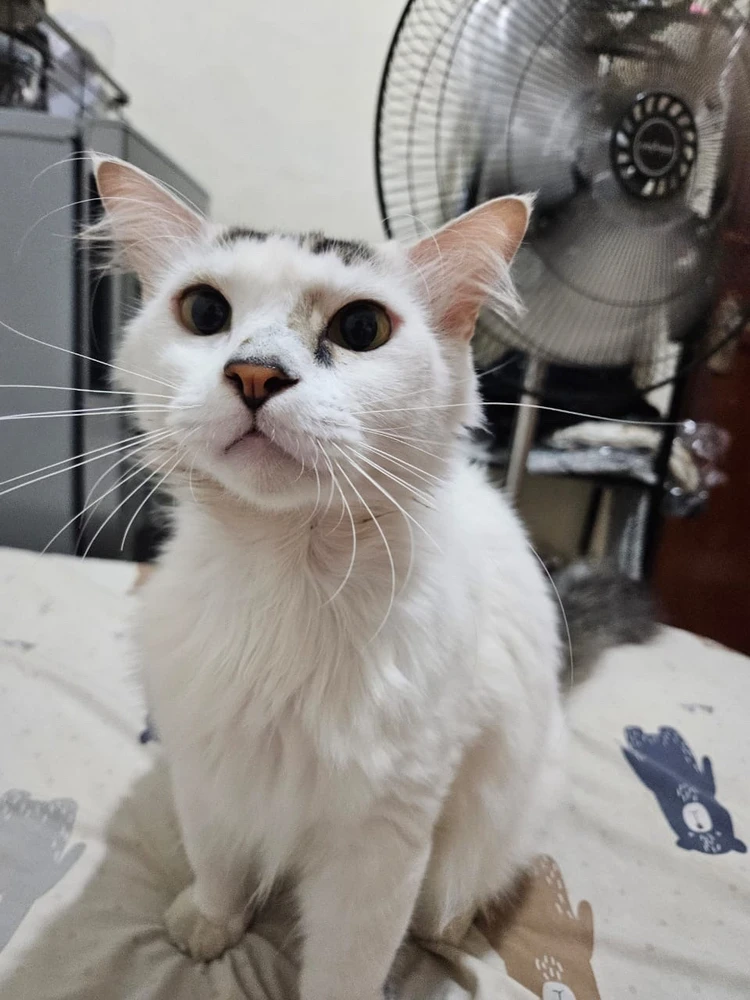 Image uploaded by Fifi