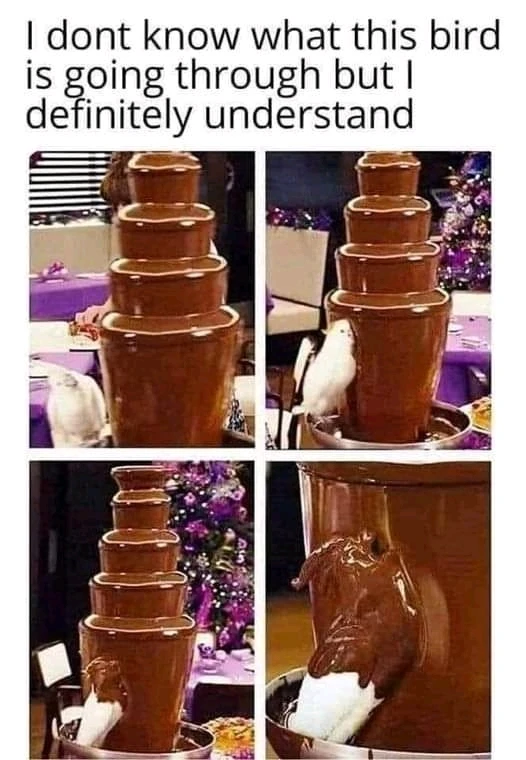 Image uploaded by 𝓐𝓵𝔂𝓼𝓼𝓪