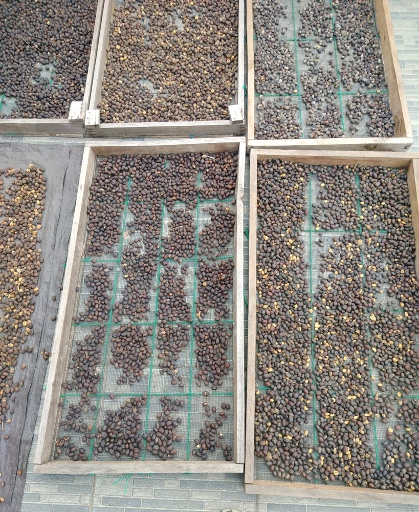 Gambar diunggah oleh ERsya