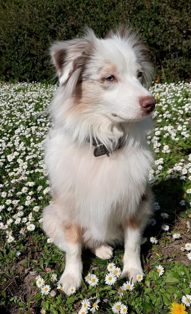 Image ajoutée par Thierry