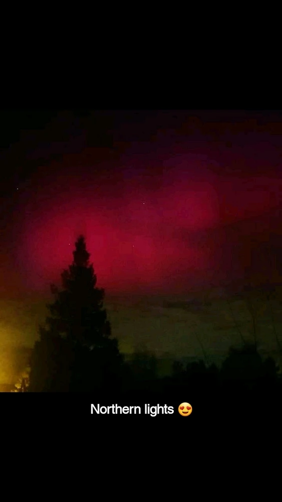 Zdjęcie dodane przez BULL