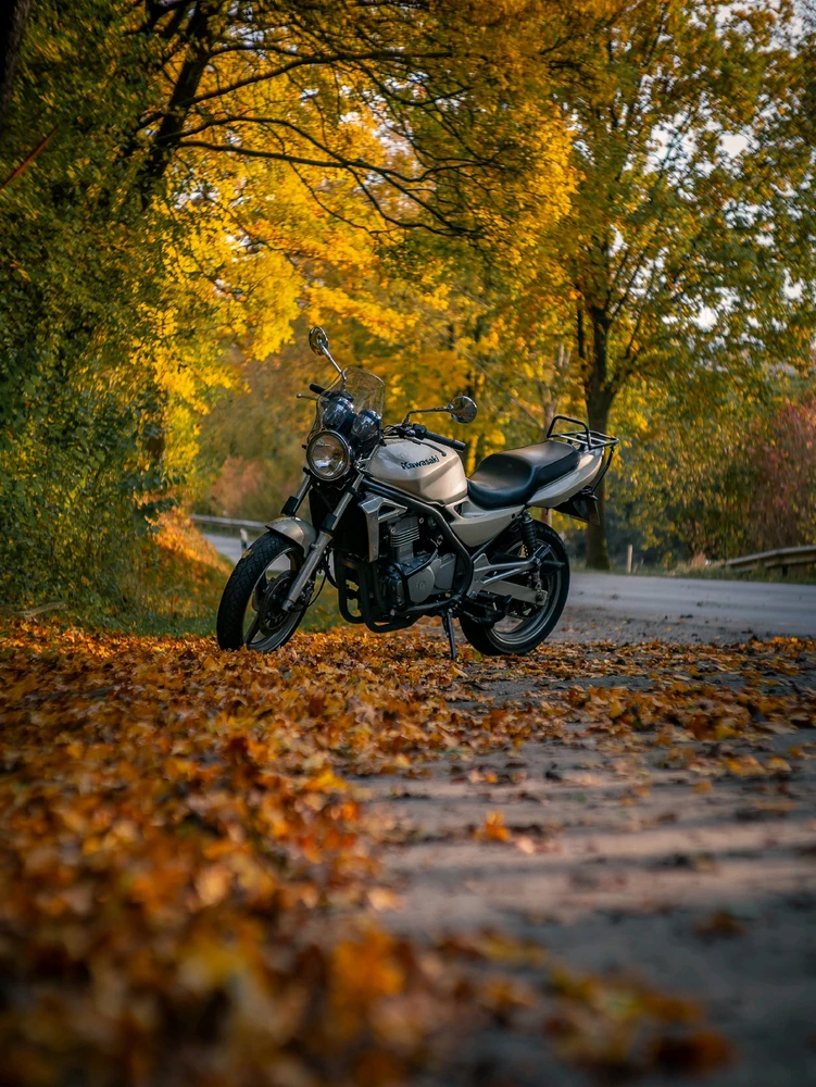 Bild hochgeladen von René