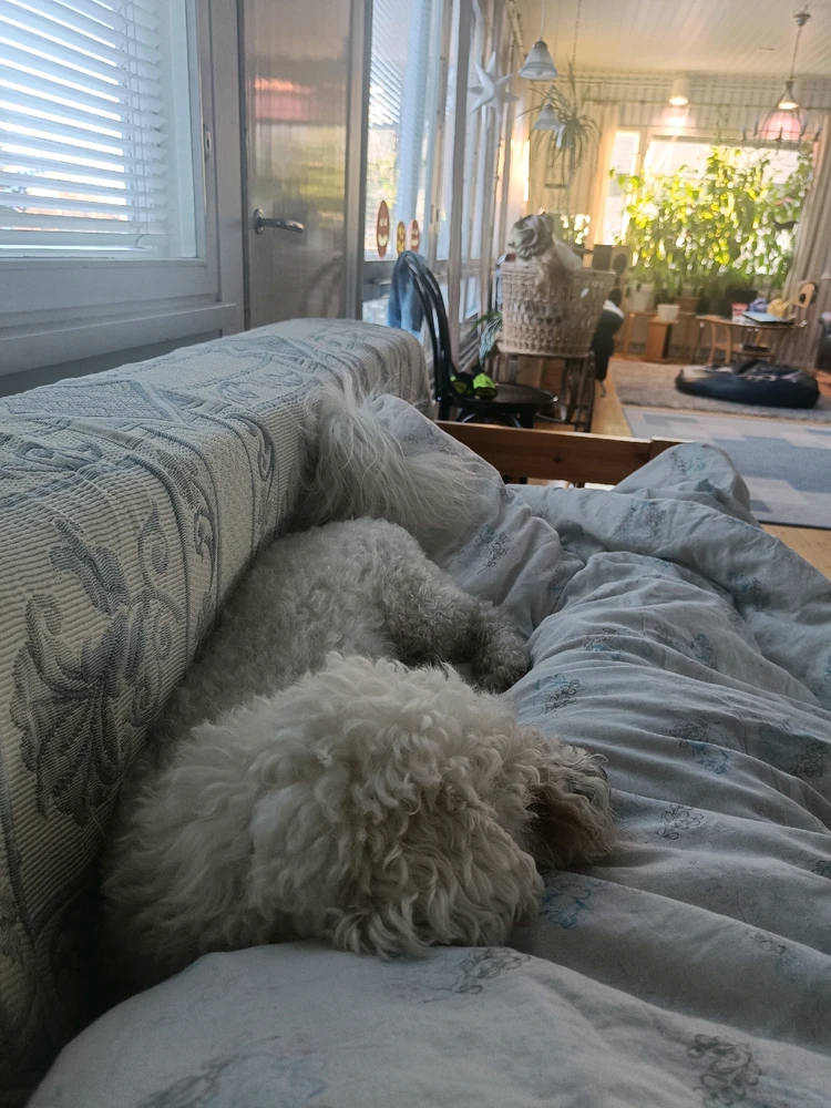 I stole her spot!